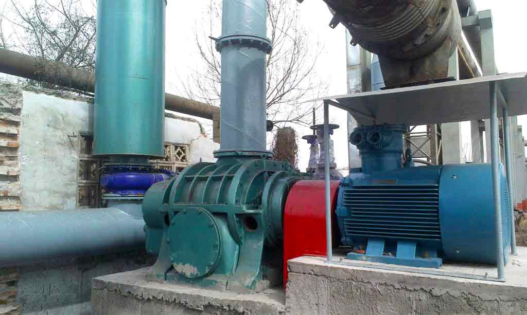 <b>電廠用羅茨鼓香蕉视频官方下载案例</b>